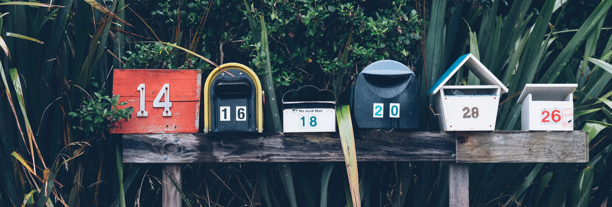 Muriwai mailboxes by Mathyas Kurmann on Unsplash
